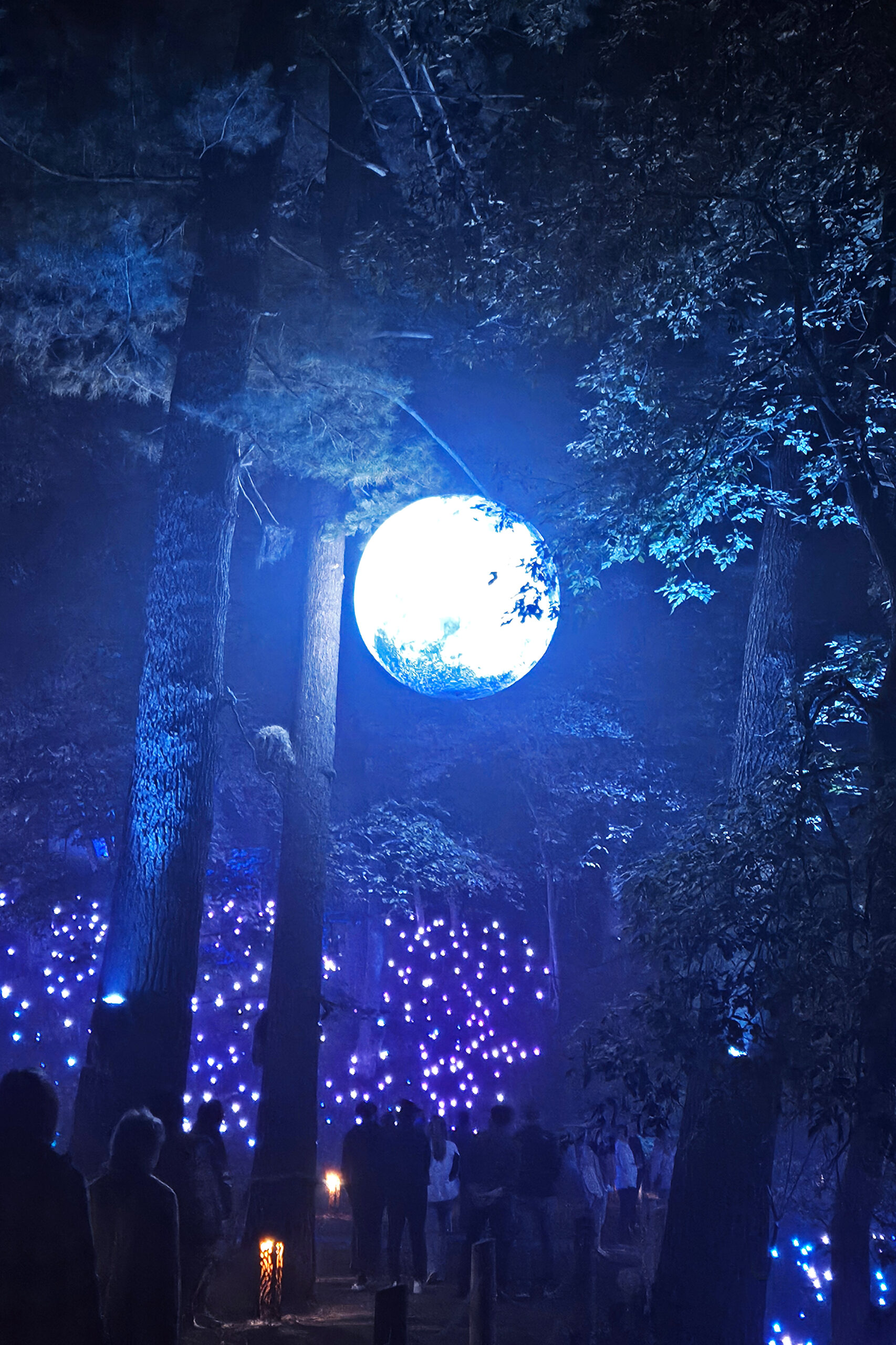 Engineering the Night - GEC's Role in the Enchanted Aquavia Lumina